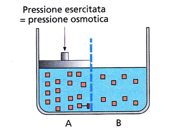 entrambi i la2 della membrana diventa uguale Oppure, fino a