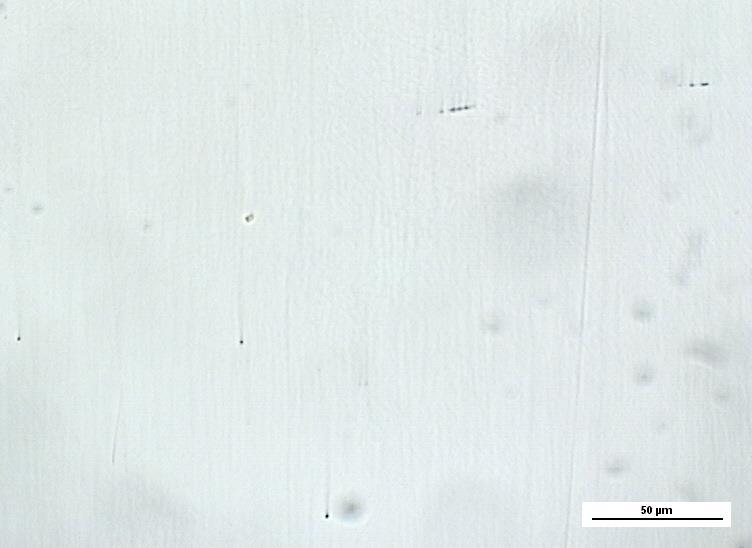 Micrografia di un acciaio AISI 316 nell ultima fase della
