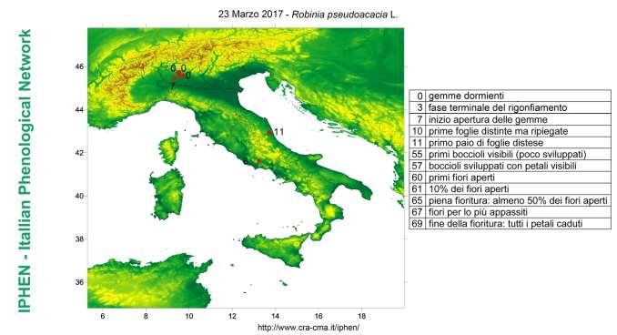 FENOLOGIA - PHENOLOGICAL OVERVIEW Robinia Locus tree Negli areali termicamente più favoriti si assiste alla ripresa vegetativa Robinia. Questa settimana sono giunte 6 osservazioni (fig. 8).