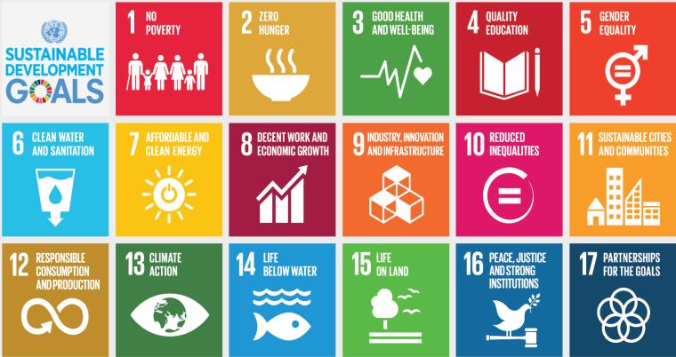Sustainability: major strategic pillar CSR Plan Human