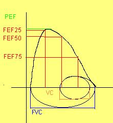 PARAMETRI SPIROMETRICI 3 CURVA