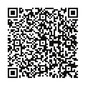 Bardolino (VR) Scannerizza il QR code per