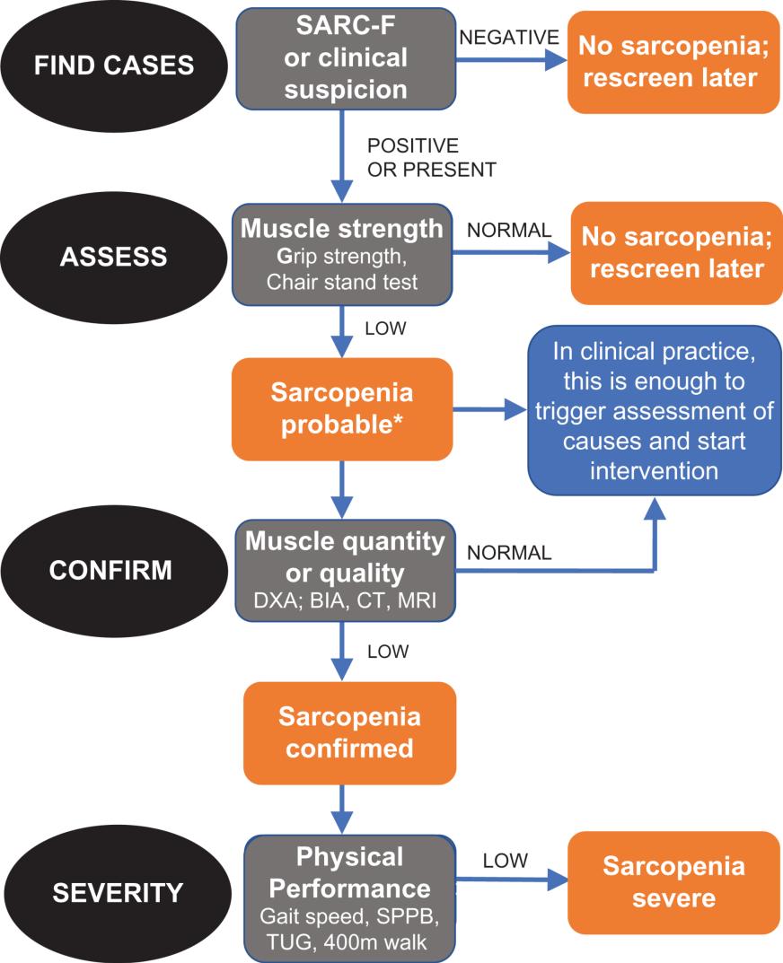 From: Sarcopenia: revised European consensus on definition and diagnosis