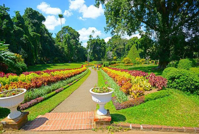 Partenza per Kandy e durante il viaggio, sosta per la visita dei Tempi nella Roccia di Dambulla che si raggiunge dopo 23 Km. Visita anche del Giardino delle Spezie.