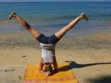 La pratica di Hatha Yoga che offriremo avrà in sé sia elementi della dinamicità di Anusara che l esperienza del viaggio iniziatico nell ascolto indicato da Sandra Sabatini e Wanda Scaravelli.