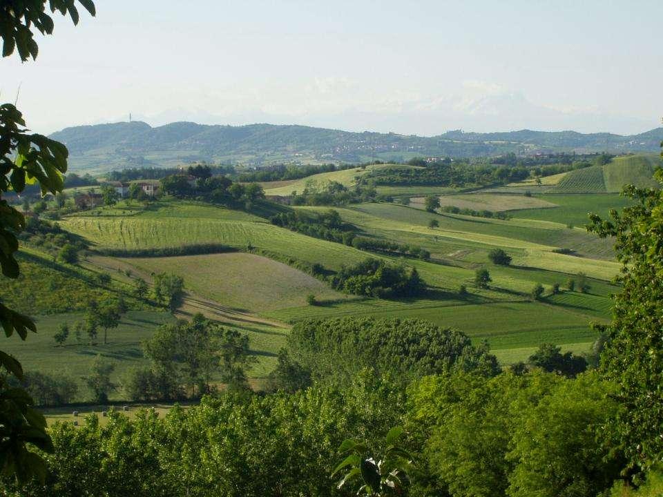 GLI OSSERVATORI DEL PAESAGGIO IN PIEMONTE MARCO DEVECCHI Facoltà di Agraria dell Università di Torino Coordinatore della Rete degli Osservatori del Paesaggio