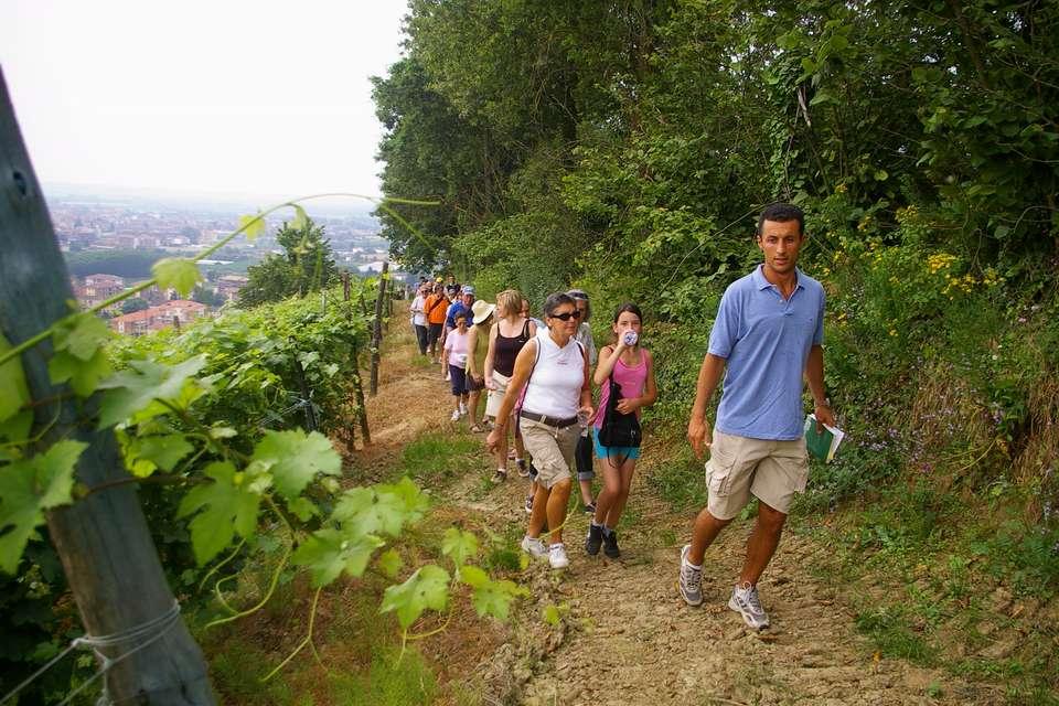 Camminare! Boschi e vigneti da salvaguardare www.