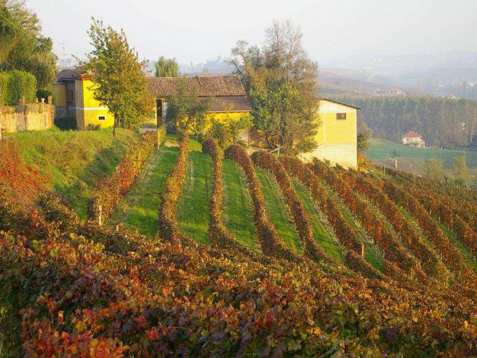 IL BISOGNO DI PAESAGGIO Il paesaggio è un bisogno sociale: cerchiamo TUTTI di vivere e soprattutto di