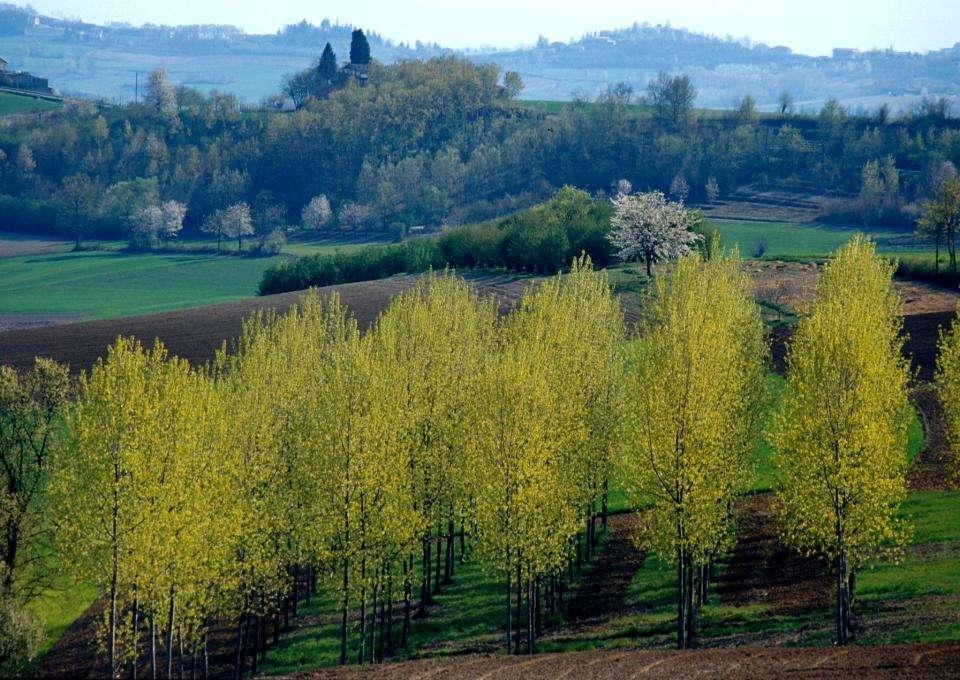 Obiettivo degli OSSERVATORI DEL PAESAGGIO è quindi la formazione una cultura consapevole del