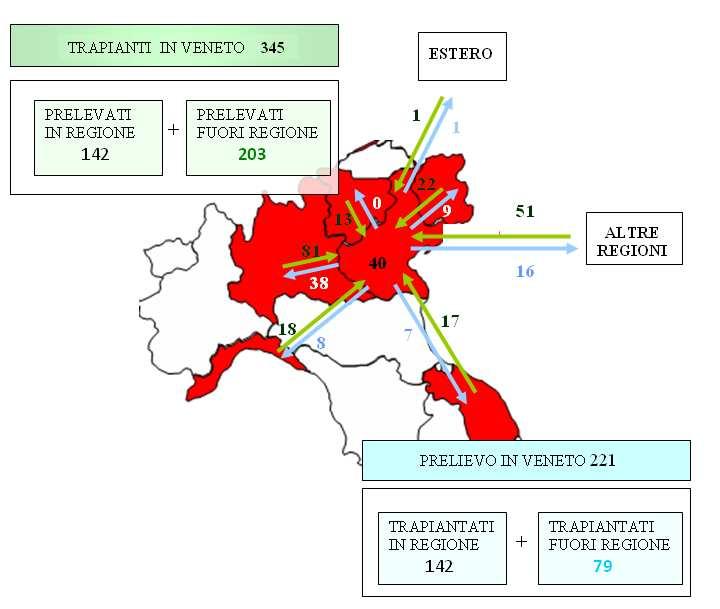 Sintesi di attività Periodo: gennaio ottobre 215 Nelle tabelle seguenti viene rappresentata la provenienza degli organi trapiantati in Regione e il destino degli organi prelevati in Regione