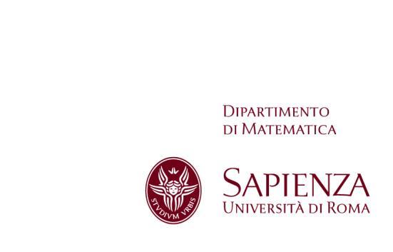 DIPARTIMENTO DI MATEMATICA UNIVERSITA DI ROMA LA SAPIENZA BANDO DI SELEZIONE PER IL CONFERIMENTO DI ASSEGNI PER LO SVOLGIMENTO DI ATTIVITÀ DI RICERCA DI CATEGORIA B) I BANDO N. 3/2014 PROT.