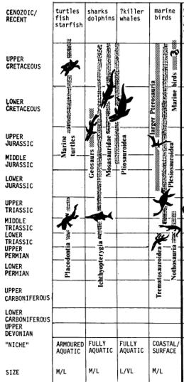 Occupazione delle nicchie per gli habitat marini e d acqua dolce nel Paleozoico Superiore e Mesozoico.