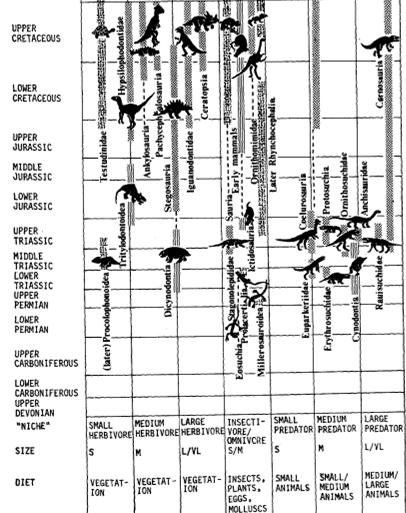 perchè: consuma meno acqua necessita di meno cibo ha un range più ampio di tolleranza alle variazioni di temperatura.