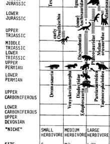 Dicynodontia: Erbivori di successo ed