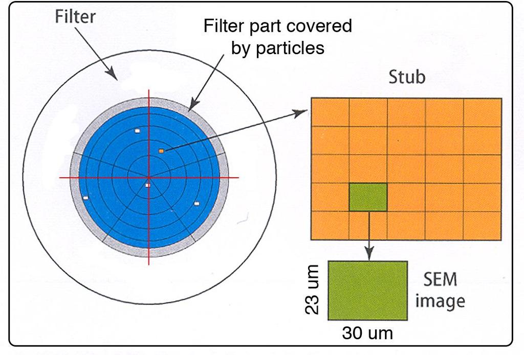 SEM/EDX La determinazione quantitativa di TiO 2 nei campioni esaminati è stata effettuata al SEM utilizzando ingrandimenti di 5000X. Sono stati letti 238 campi per ogni filtro (pari a 1 mm 2 ).