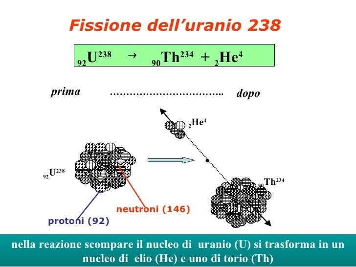 Un nucleo di 238 92U decade emettendo una particella alfa. Quale nucleo si produce in questa reazione? Il numero atomico dell uranio è A=Z+N=238 per cui ha Z=92 protoni e N=A-Z=146 neutroni.