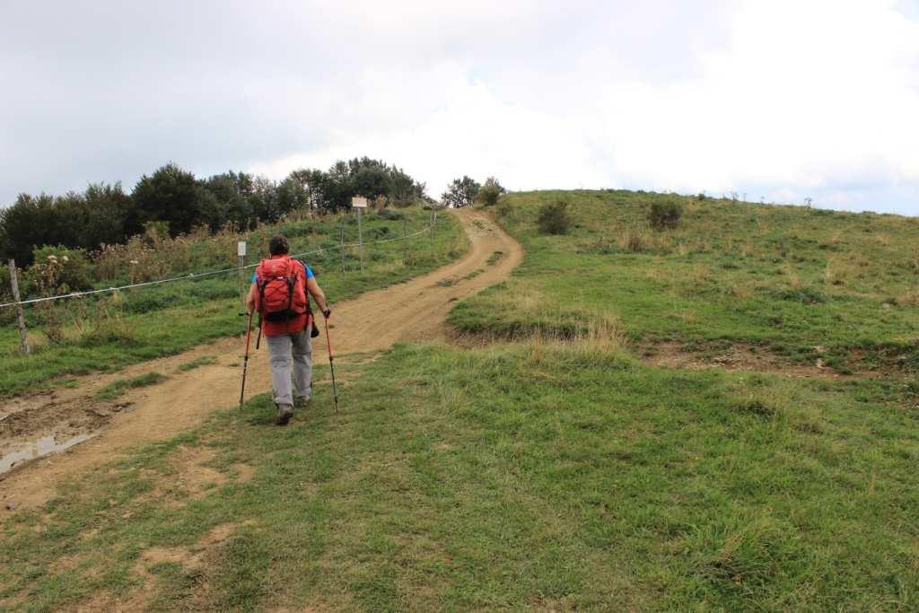 prigionieri di guerra in fuga.