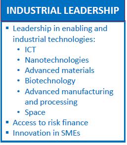 LEADERSHIP INDUSTRIALE Lo scopo è di incoraggiare investimenti in R&I in Europa, promuovendo alcune priorità per ogni forma di business.