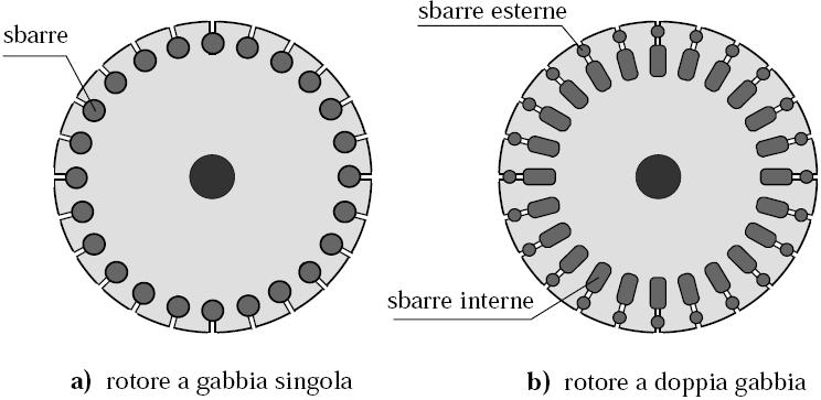 scoiattolo (a singola e a