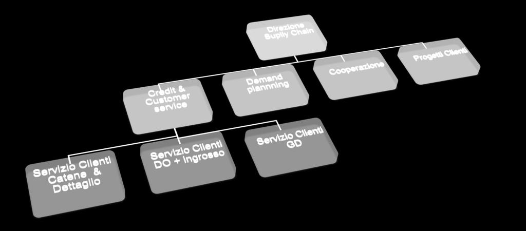 La struttura di Gestione clienti nel Mass Market I processi e le strutture di gestione dei clienti