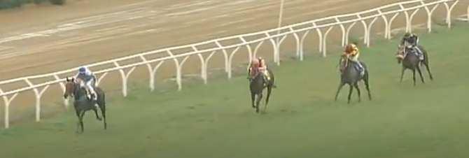 5 OTTAVIANO AUGUSTO (56.5) mb11 - Holy roman emperor (ire) e Moon legend (usa) - Bossa Fe. _98. Siracusa 01.11.18 Ercegovic Gi. 52.5 terr. pesante st.7 handicap 3> e.5.500 m.2100 p. P.Piccola RAT.0.0 - VAL.