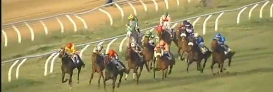 ) Part. 13 T. _4. Siracusa 01.12.18 Bossa Fe. 52.5 terr. pesante st.6 handicap 3> e.5.500 m.2300 p. P.Grande RAT.70.0 - VAL.72.0 - TOT.5.18 - QINI.9.00 - QFIN.4.00 1. BELLA VICHINGA (P) 50.5-2.