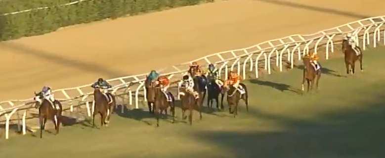 7 PIETRO IL GRANDE (54) mb9 - Sakhee (usa) e Persian filly (ire) - Cannarella Gi. _6. Siracusa 22.07.17 Guerrieri Se. 54 terr. buono st.12 handicap 3> e.24.200 m.2100 p. P.Piccola RAT.93.0 - VAL.93.0 - TOT.