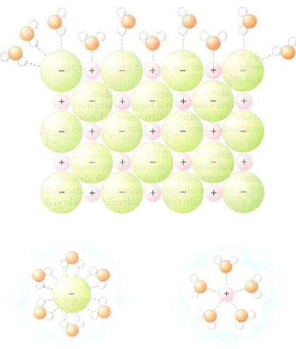 Il PROCESSO di SOLUZIONE Quando una sostanza si scioglie in un altra, le particelle che la costituiscono (molecole oppure ioni) devono separarsi le une dalle altre, e mescolarsi con le molecole del