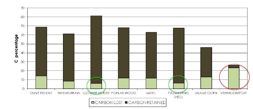 STABILITA DEL BIOCHAR NEL SUOLO Fonte: