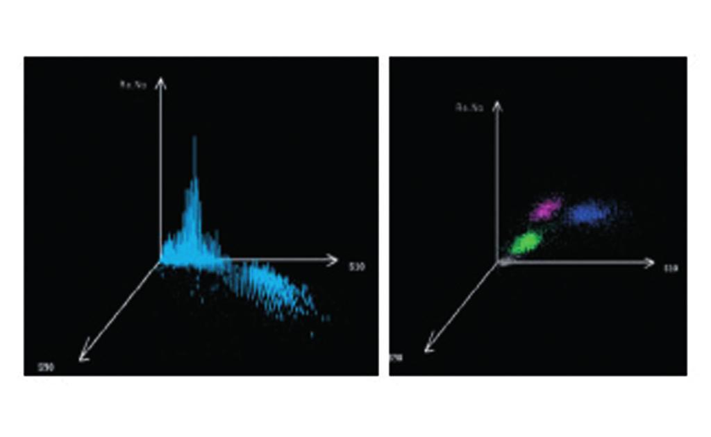 5250 fornisce non solo gli scatter gram, ma anche uno stereogramma tridimensionale con la possibilità di ruotare il grafico e cambiare