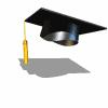 Il Diploma dell Indirizzo Economico- Sociale consente: l accesso a tutte le facoltà universitarie, con lo sbocco facilitato per i corsi di laurea in: Sociologia,