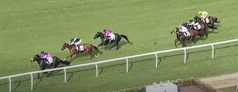 3 CASHMERE GUEST (61) mb8 - Kheleyf (usa) e Katy guest (ire) - Toccolini Va. _9. Milano 16.09.18 Toccolini Va. 56.5 terr. buono st.7 handicap 3> e.10.010 m.1000 p. P.Dritta RAT.82.0 - VAL.87.5 - TOT.