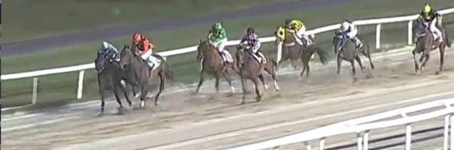 7 SOPRAN FORZA (59) mb8 - Zamindar (usa) e Force of nature (usa) - Urru Se. _4. Varese 25.08.18 Perego Fa. 74.5 terr. sabbia st.13 handicap ad invito 3> e.4.000 m.