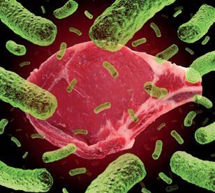 Sicurezza nella filiera alimentare La velocità di comparsa dei fenomeni alterativi varia notevolmente in funzione di un gran numero di fattori.