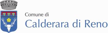 DETERMINAZIONE DELL'AREA: SETTORE FINANZIARIO SERVIZIO: SERVIZIO RAGIONERIA - ECONOMATO FORNITURA PANNOLINI PER ASILO NIDO COMUNALE - APPROVAZIONE MODULO OFFERTA E DETERMINAZIONE A CONTRARRE. NR.