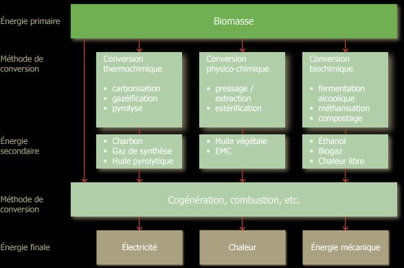 Figura 11: Panoramica delle possibilità di utilizzo dell energia contenuta negli scarti organici [43].