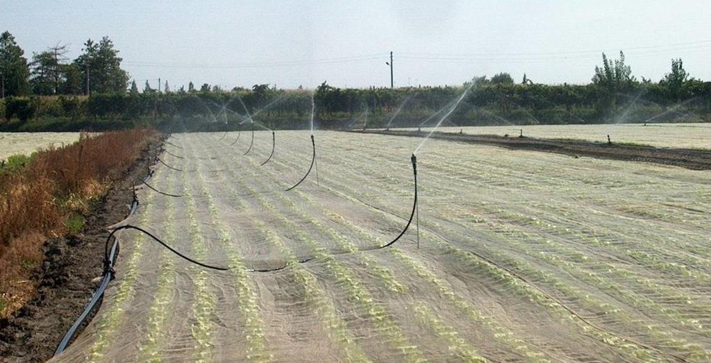 Irrigazione Tra i sistemi per aspersione, sarebbe opportuno limitarsi all impiego di miniaspersori che operano alla pressione di.-.