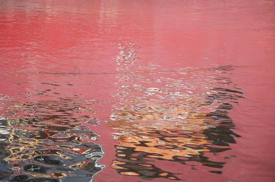 Monet s water