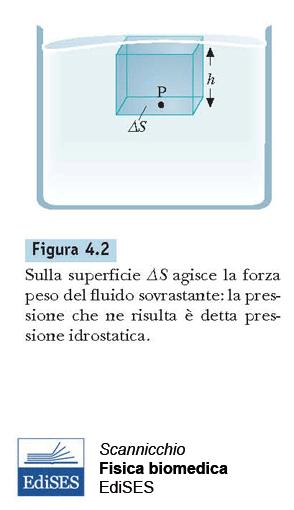 Legge di Stevino Consideriamo un fluido incomprimibile (con densità ρ costante punto per punto). La legge di Stevino descrive la variazione della pressione con la profondità h.