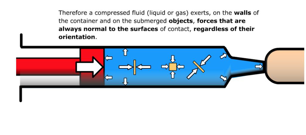 Principio di Pascal Nel fare un'iniezione, si preme sul pistone della siringa esercitando una pressione sul liquido.