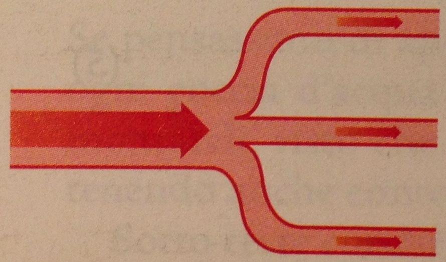 esempio L aorta di un adulto ha un raggio do 1,0 cm e una portata di 6,0 dm 3 /min. Qual è, in essa, la velocità del flusso sanguigno?