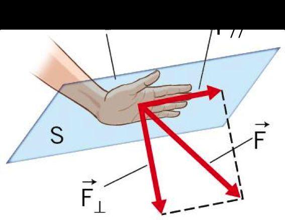 LA PRESSIONE Per descrivere l effetto di una forza F che agisce su una superficie S, si introduce la grandezza scalare pressione (simbolo p).