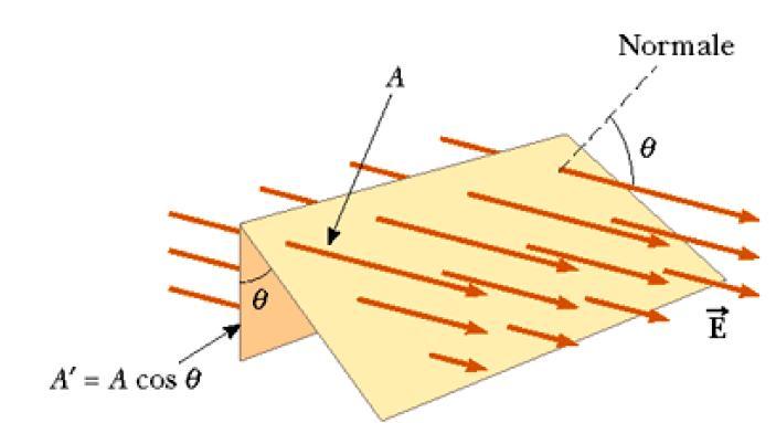 Flusso lettico A nˆ A L unità di misua del flusso del campo elettico è N m /C flusso del campo vettoiale Se consideiamo il caso paticolae di un campo elettico unifome e di