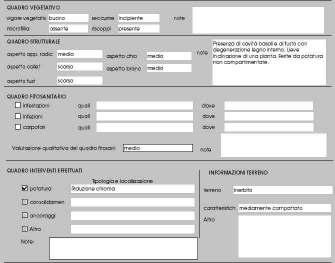 descrizione fisionomica quadro vegetativo quadro strutturale quadro fitosanitario quadro interventi
