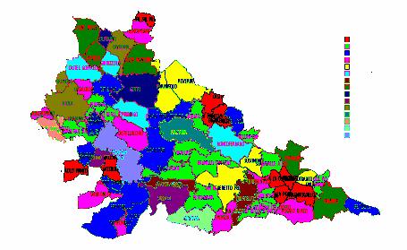 I risultati: distribuzione geografica 280 Segnalazioni su 61 comuni I risultati: distribuzione per ambiente Ambiente urbano: 71 segnalazioni in aree verde privato 48 segnalazioni in aree verde