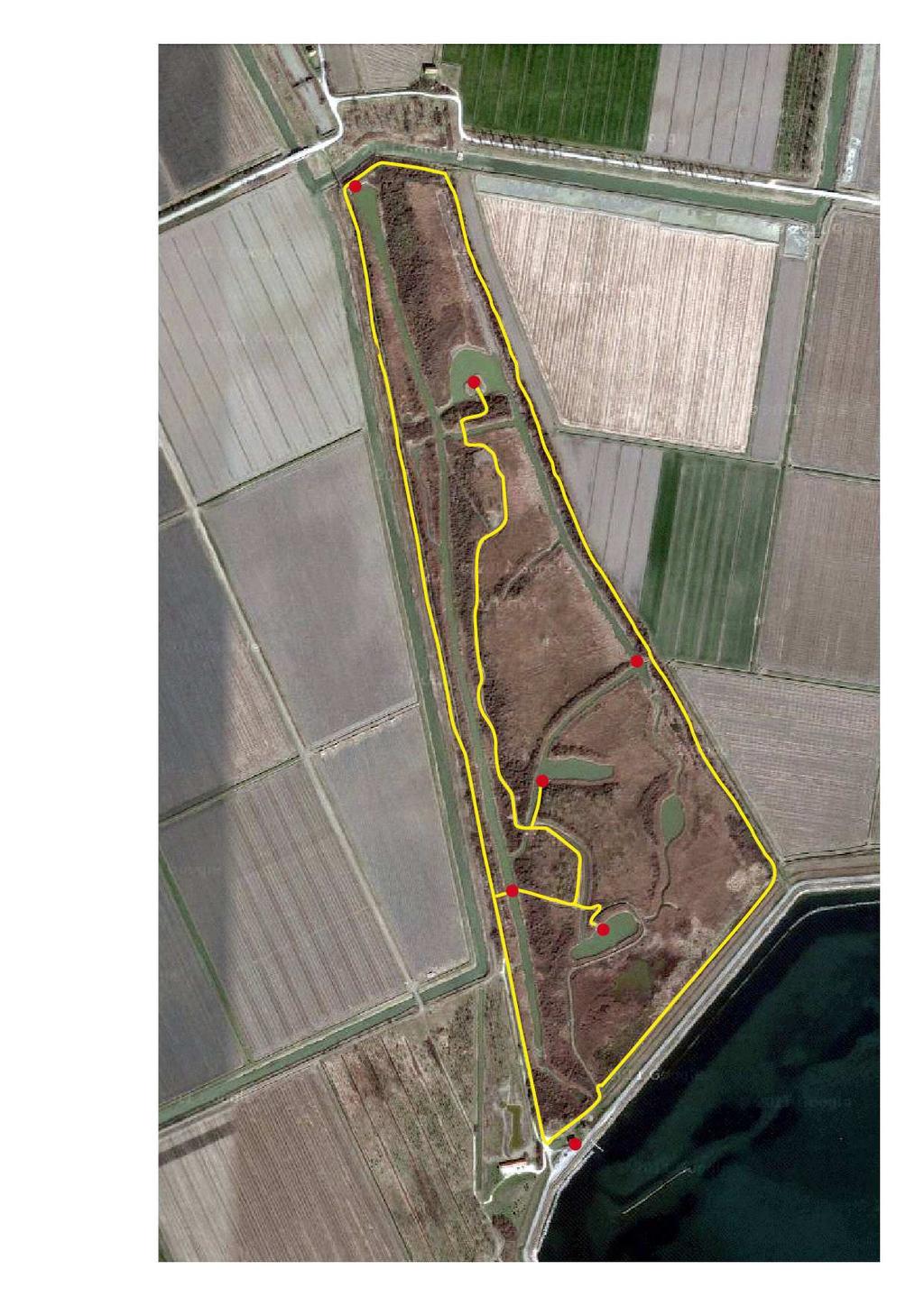 Figura 3: In giallo i sentieri percorsi nell Oasi di Cà Mello. I bollini rossi indicano i punti fissi di osservazione.