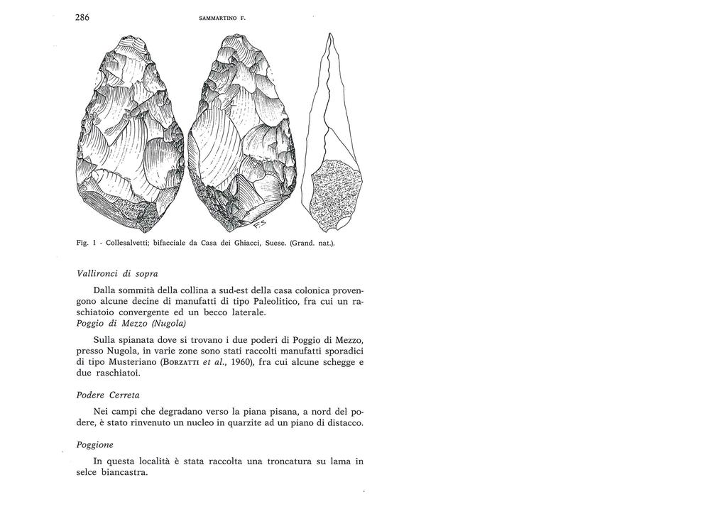 286 SAMMARTINO F. Fig. 1 - Collesalvetti; bifacciale da Casa dei Ghiacci, Suese. (Grand. nat.).