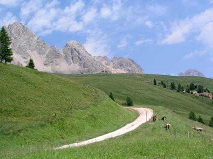 Agrotecnologie per l ambiente e il territorio 24/05/2017 Laurea triennale Obiettivi Formativi La