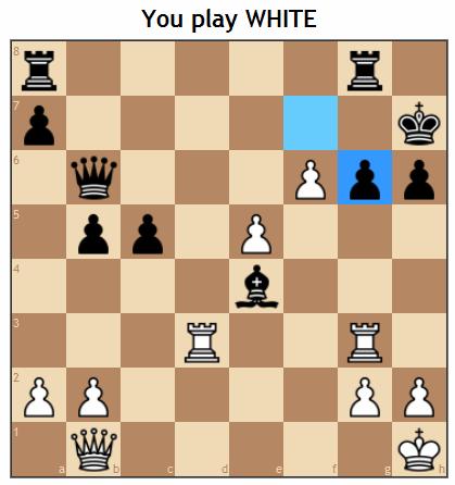 Cosa giochi col Nero? 24. il Re bianco sta male.