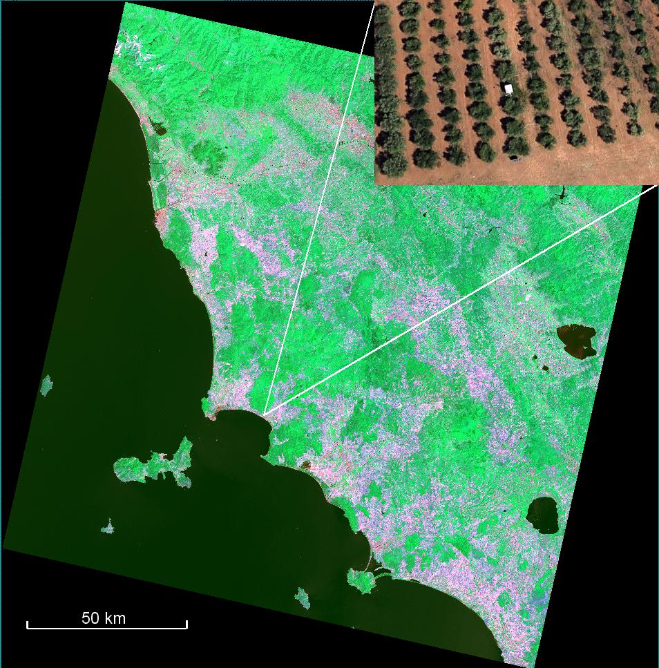 Figura 1 - Immagine Landsat OLI della Toscana del 16 giugno 2013 con la posizione dell area di studio; in alto a sinistra, posizione della scena in Italia; in alto a destra, immagine Ikonos del 5